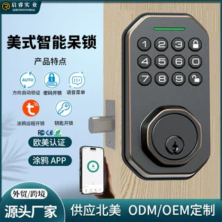定制跨境外贸北美智能门锁电子密码呆锁全自动木门美式涂鸦指纹锁