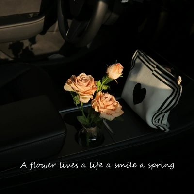 Car Center Console, Cute – Car ornaments - french-burnt-edge-rose-orange-hemp-rope-english-bottle