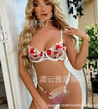 Aiyang amazon delgada ropa interior europea y americana fábrica de bordado de comercio exterior venta directa de tamaño de encaje impresión labial