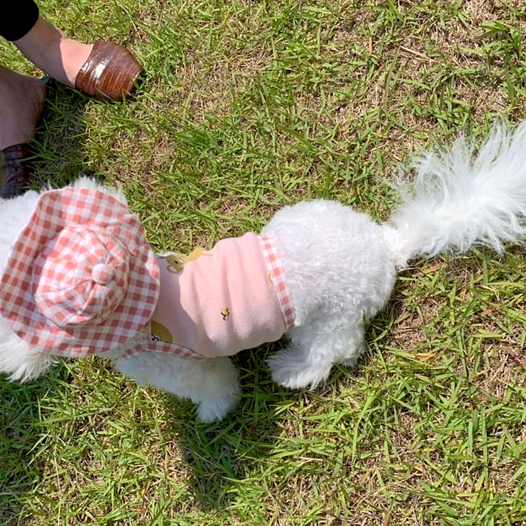 무료 모자 애완 동물 슬링 개 옷 테디 포메라니안 비숑 프리즈 요크셔 작은 강아지 고양이 얇은 스타일
