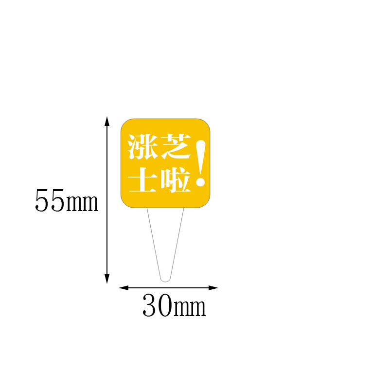 노란색 치즈 인서트 100개 H33;