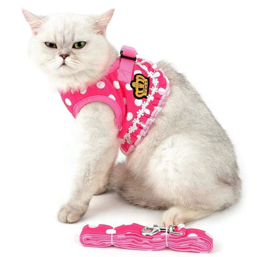 Vest-style cat cute chest-back pet leash small dog without strangling hands walking dog anti-biting dog clothes
