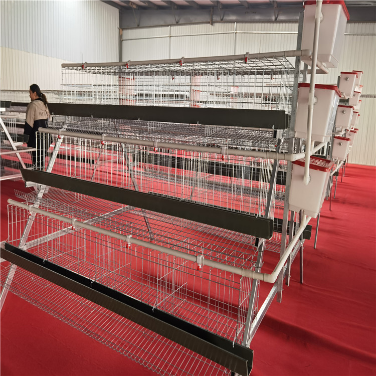 Una jaula de huevos de 4 capas de 4 puertas, una jaula de escalones tipo A, tecnología de galvanizado en frío / galvanizado en caliente, crianza de gallinas