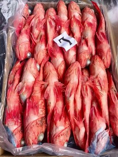 �r���tʯ���~������đ�~���l������F�~���r�L���~�t�~�����~���~