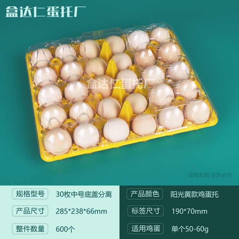 Titular de huevo de plástico desechable con hebilla con tapa a prueba de golpes transparente Tierra huevo caja de embalaje supermercado ventas directas de la fábrica