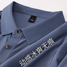 99188��˿�޺�POLO��ɫ��ɫ��ɫ��������������ɫP28