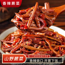 香辣蕨菜湖南特产即食龙爪菜下饭菜剁辣椒凉拌野蕨菜咸菜下酒泡菜