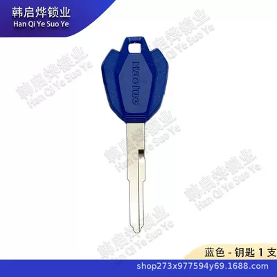 Slot Electric Door Lock — Motorcycle Key