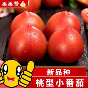 �������t�����r�}Ů��ˮ��С���ѡ��r�ҷNֲ�����ء�