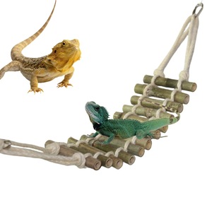 �������������Ӿ�������\�b�С�������Ʒ�ڻ��B�\�}���������