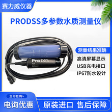 美国维赛YSI ProDSS 便携式多参数水质测量仪水质分析仪