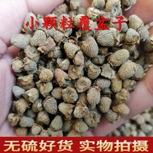 Ʒ㽭ҰݾϷݲԑhӸӸ