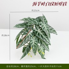 �Gֲ�ٻ��ڒ�ֲ���ٗl����ֲ�����҃���G�}3D��ӡ�����~