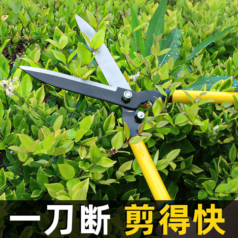 Corte especial de césped cuchillo de poda forestal verde jardín cortador cortador vivero herramienta de poda árbol de té flores cortador telescópico