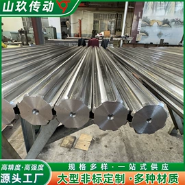 其他传动件;导轨