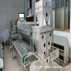 双层欧式兔笼 双层24笼位兔笼种兔育成繁殖一体笼养兔笼具图片