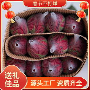 �𻨘������Խ������ͻ����҃���ͥԺ�̨���������_���B�Gֲ��