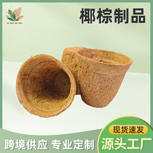 椰棕育苗杯营养育苗杯简约绿植生长盆园艺用品椰棕杯植物苗生长盆