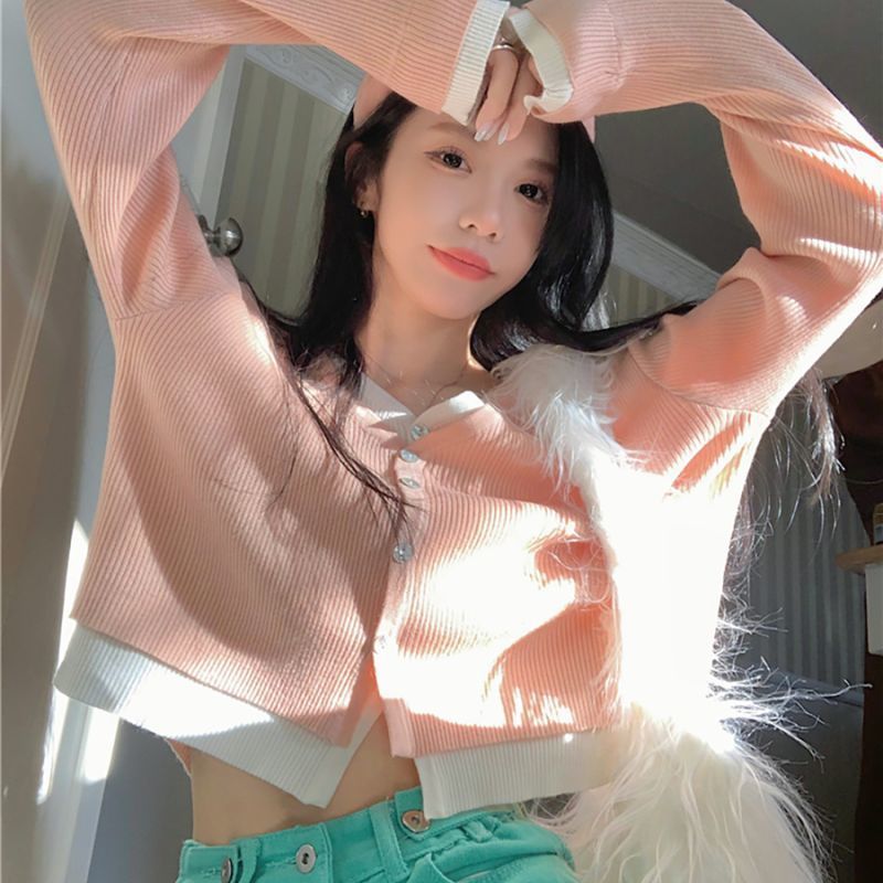 假两件针织衫女秋季上衣2025新款内搭慵懒风设计感长袖开衫上衣in|undefined