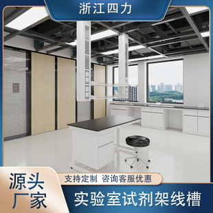 Hot Selling Experimental Bench Laboratory Accessories All-Steel Suspended Reagent Rack Functional Wire Trough Acid and Alkali Resistant Source Manufacturer Ready Stock