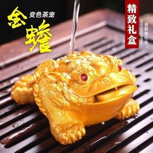 变色茶宠摆件精品可养茶台茶桌用品摆设茶具貔貅茶玩金蟾宠物蟾蜍