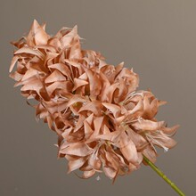 ��ɫϵ��c������ɫ��ɫ��Y��ܛ�b���ý������⻨�Ĳ廨�~��