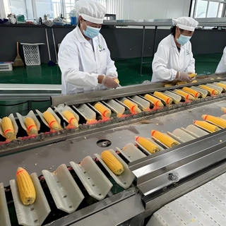 商用东北黏玉米鲜食玉米加工生产线苞米用扒皮机糯玉米成套设备
