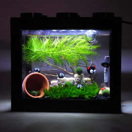 海藻球微景观生态瓶室内桌面趣味鱼缸水培植物球藻小盆栽礼物