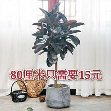 Ƥڽ҃ȿ͏d̨ļB辰ܾGֲ