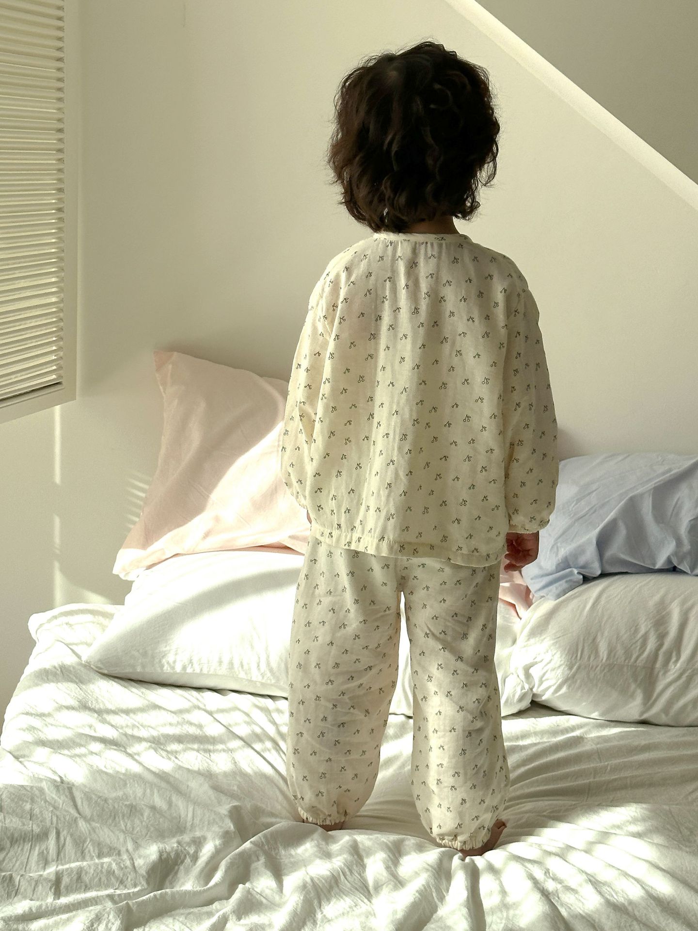 2024-11-21 100328.jpg