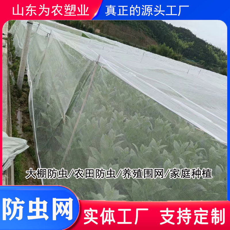 防虫网烟叶烟草遮阴网白色圆丝加厚遮阴网防虫网云南烟草防虫网