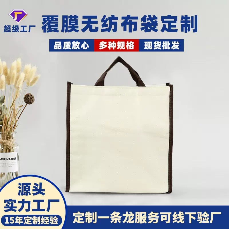 覆膜无纺布保温袋子无纺布烘培蛋糕外卖打包保温袋户外保温袋定制