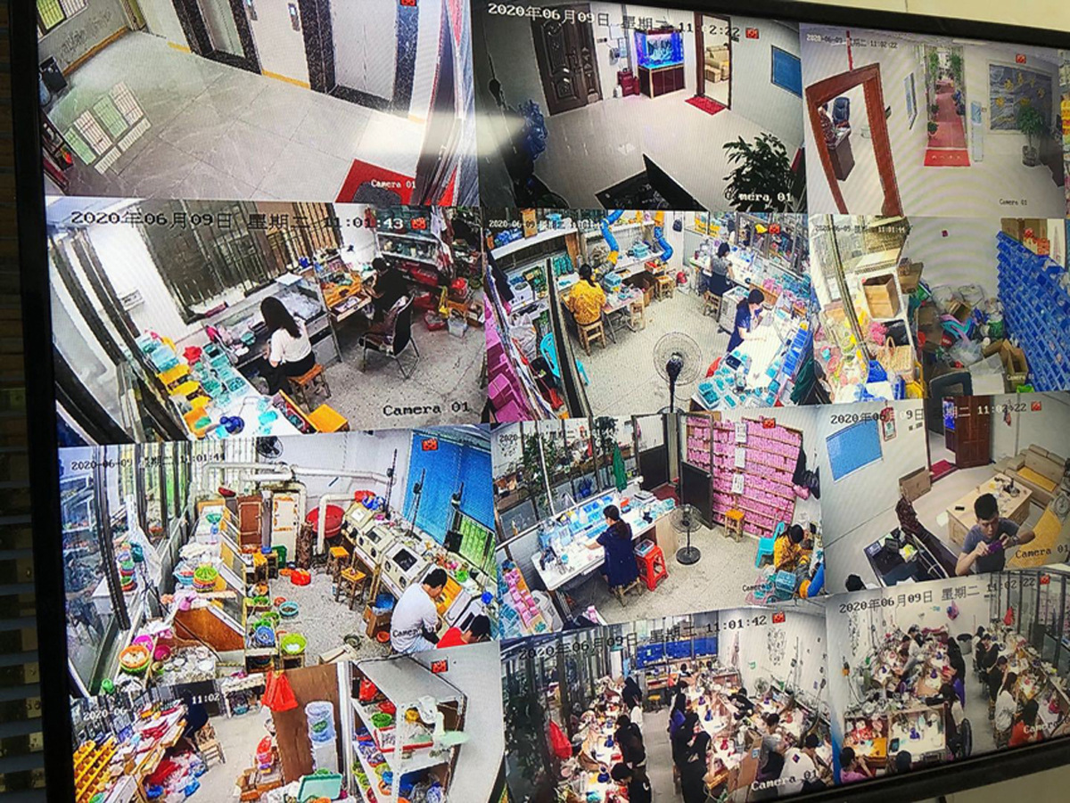 22288446460_1118138341