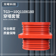 高壓穿牆套管TG3-10Q/110*180 戶內中置櫃內環氧樹脂穿牆套管12KV