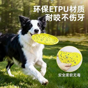 ���Ǵ���Ȯ�������ҧ��������w�P�������I��߅������ҧ����Ӗ��
