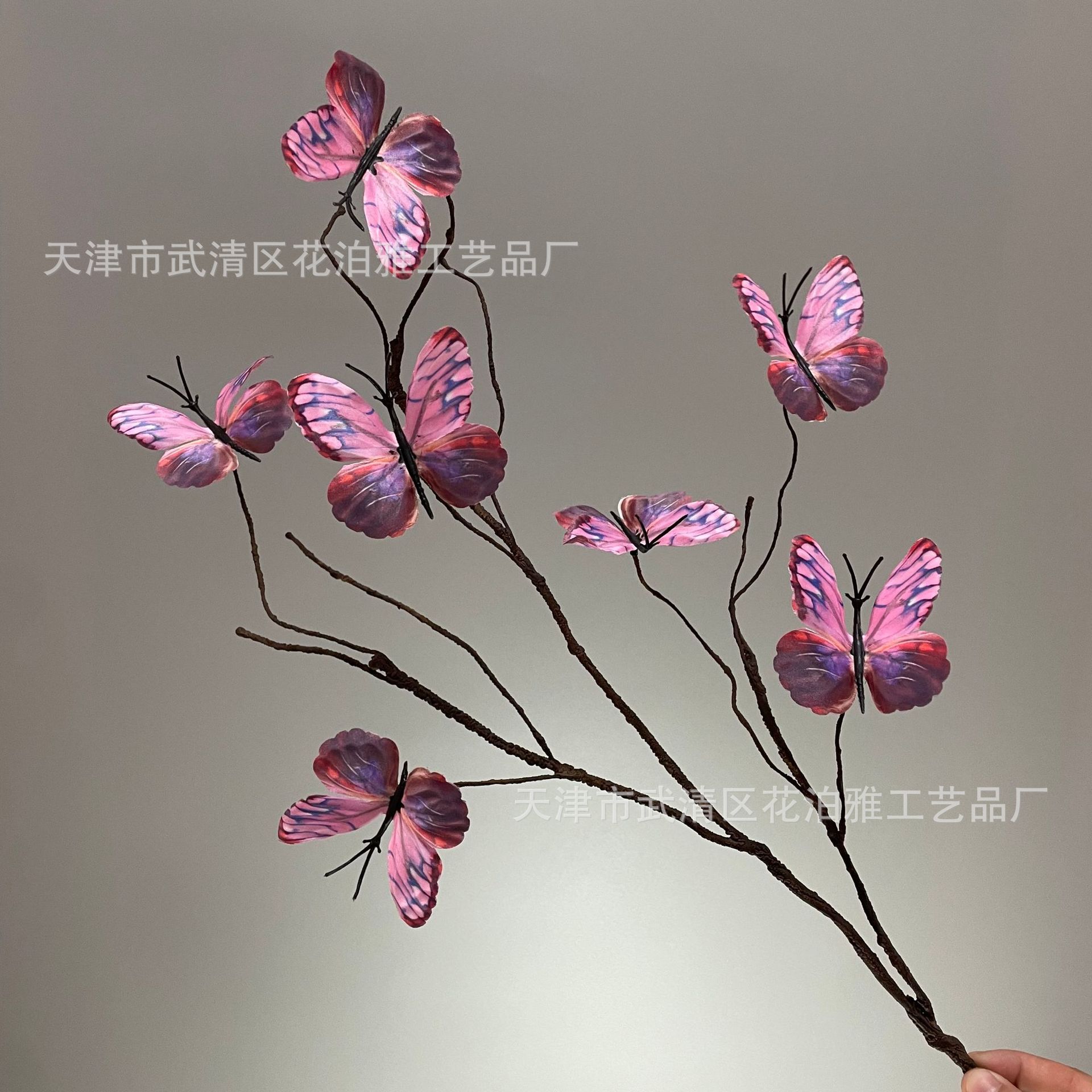 그물 모양의 나비