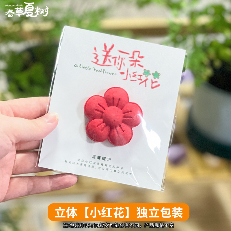 儿童环保种子纸发芽纸小花朵爱心节日礼品种植创意种子卡片伴手礼|undefined