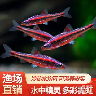 �Ϲ⾫�`�~�ò��޺��ʟ��~ԭ����ˮ�ͺ���ˮ����С���^�p�~���l