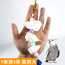 ī~LƤĵW^Bʳĥʳa}߿ҧƷ