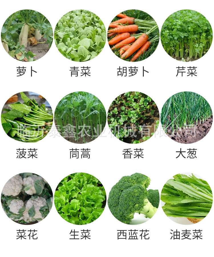 详情_08.jpg