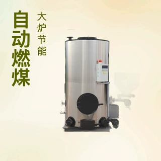 自动生物质燃煤农村家用商用热水锅炉大炉膛节能采暖炉热水供应