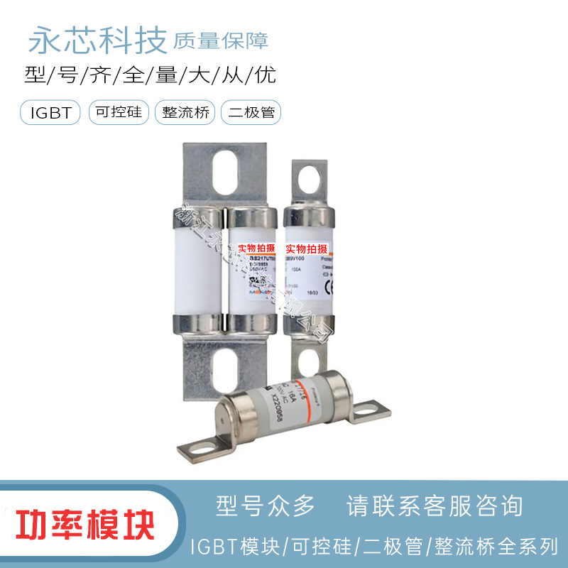 原装进口BS217UT69V65   BS217UT69V75全新保险丝熔断器现货供应