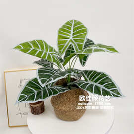 厂家直销 仿真绿植9头大叶子 仿真龟背叶 春雨叶 仿真植物墙配材