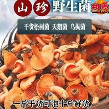 �������ɘ�����Ź���؛������������������r��ˮҰ�������鹽