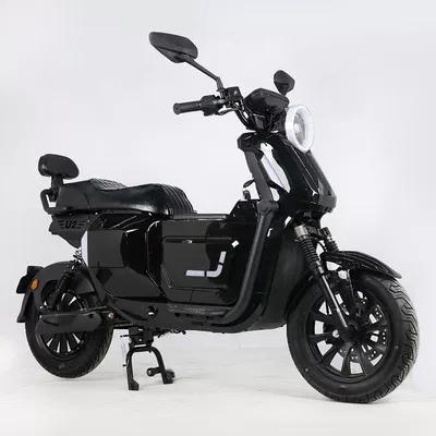 Elektrikli motosikletlər Electric Motorcycles, Scooters, Leisure Passenger-Carrying