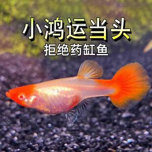 ���\���^��ȸ�~���w�t�^�Pβ�~���L��ˮ�Ꭷ�~С���~ˮ���~�^�p�~