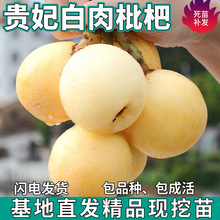 һ�����l �F����������������Լ޽ӟo���ش���ϱ����Nֲ���Ի�