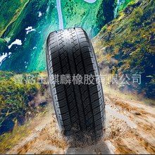 米其林汽车轮胎245/50R19轿车子午轮胎冬季轮胎雪地轮胎正品三包