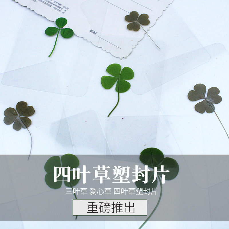 Four-leaf clover plastic package love clover real leaf plastic plant specimen card sticker understanding leaf bookmark Four-leaf clover plastic package love clover real leaf plastic plant specimen card sticker understanding leaf bookmark