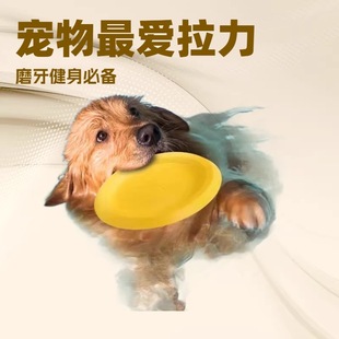 ������ߴ���Ȯ�A�h�w�P߅���l�����hĥ����ҧ�␞�������